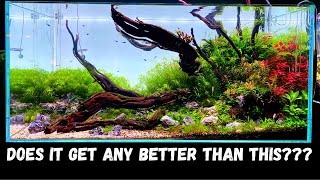 ULTIMATE 100 GALLON PLANTED TANK  EPIC 120CM AQUASCAPE [upl. by Rodmun174]