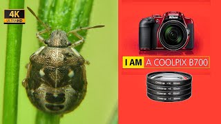 Trying Macro with Nikon B700 UHD 4K  SUPERNIC 52mm Close Up Lens Filter [upl. by Jordain529]