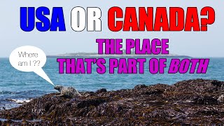 Machias Seal Island is part of both US AND Canada Its a border dispute weve never agreed on [upl. by Sidoney]