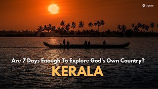 Kerala Travel Guide Local Insights  Kochi Munnar Alleppey Trivandrum Varkala Poovar  Tripoto [upl. by Aibsel82]