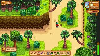 Easy Golden Walnuts in the start of Ginger Island  Stardew Valley 16 [upl. by Ralyt]