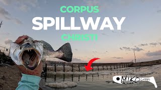 THE MOST CONTROVERSIAL FISHING SPOTTHE SPILLWAY CORPUS CHRISTI TX [upl. by Lyssa]