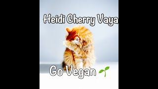 Fun Bedtime Story For Kids  Heidi Cherry amp Vaya Go Vegan [upl. by Ettore]