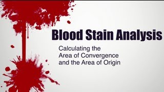 Blood Stain Analysis  Calculating the Area of Convergence and the Area of Origin [upl. by Adiraf474]