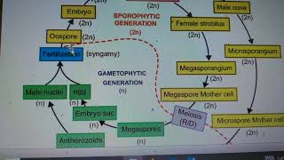 biology උසස්පෙළ guess question 2023 ජනවාරි speed revisionguess [upl. by Anasiul]