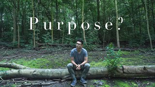 What is your purpose The meaning of life [upl. by Richmal]