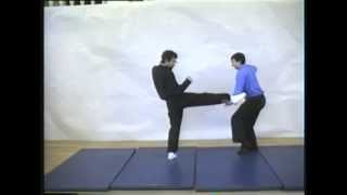 Tai Chi SelfDefense part 4 [upl. by Garry]