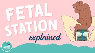 Fetal Station Overview  Mother Baby Nursing  NurseInTheMaking [upl. by Hennie]