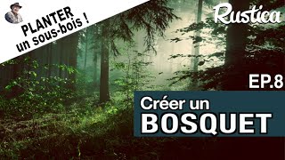 Créer un bosquet – 8  Planter un sousbois [upl. by Low267]