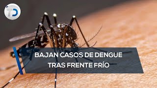 Disminuye el porcentaje de casos de dengue [upl. by Marasco]