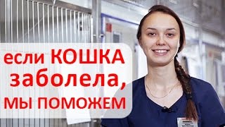 Кошка болеет Мы выясним чем болеет Ваша кошка Инновационный Ветеринарный Центр МВА [upl. by Pegasus]