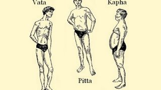 The Ayurvedic Body Types and Their Characteristics Vata Pitta Kapha [upl. by Hadsall435]