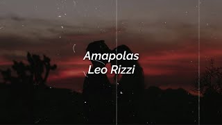 Leo Rizzi  Amapolas Lyrics  Acapella  Rvrb  8D [upl. by Aschim121]