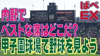 甲子園球場で野球を見よう～内野ベスト席はどこだ？ [upl. by Silera]