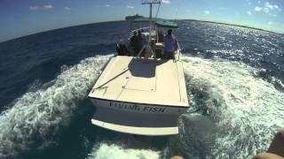 Parasailing Great Stirrup Cay Bahamas [upl. by Dahij]