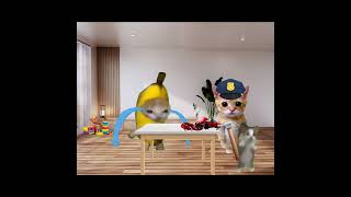 Bananacat 🍌🐱 Plays with cars bananacat cat [upl. by Gereron]