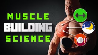 How To Build Muscle As Quickly As Possible [upl. by Nirret]