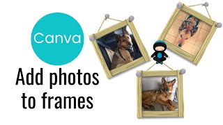 How to Add Photo to Frame in Canva Easy 2025 [upl. by Caritta]