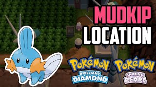 How to Catch Mudkip  Pokémon Brilliant Diamond amp Shining Pearl [upl. by Aduhey]