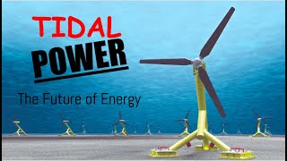 Tidal PowerThe Future of Energy [upl. by Anileba]