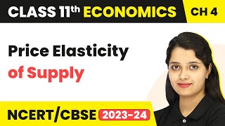 Class 11 Economics Chapter 4  Price Elasticity of Supply [upl. by Nosyk]