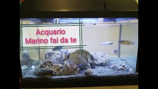 Acquario Marino fai da te semplice e veloce [upl. by Tiga406]