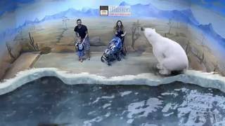 Illusion 3D Art Museum Kuala Lumpur  01  Air Land Sea [upl. by Yatnohs]