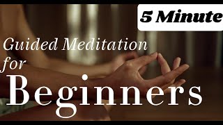 5 min Guided Meditation for Beginners [upl. by Pius]