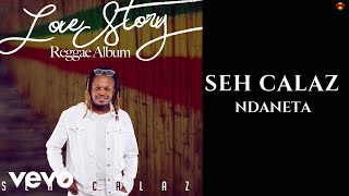 Seh Calaz  Ndaneta Official Video [upl. by Olotrab]