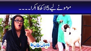 Bulbulay Season 2 Episode 14  Ayesha Omar  Nabeel [upl. by O'Kelly]