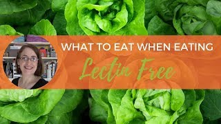 Lectin Free Foods What to Eat When Eating Lectin Free [upl. by Rod]