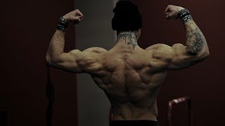 BACK amp BETTER  Powerful Training Update [upl. by Everard]