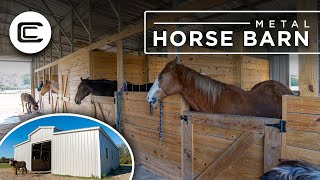 Metal Horse Barn Installation  Custom Built for Farm Use [upl. by Dail833]