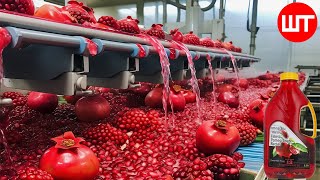 How Pomegranate Juice Is Made In Factory  Fresh Pomegranate Juice Factory Process [upl. by Akiam]