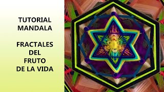 Mandala Fractales del Fruto de la Vida [upl. by Herod166]