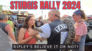 STURGIS Rally 2024 You Have to SEE it to BELIEVE it [upl. by Feenah]