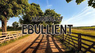 What is the meaning of Ebullient [upl. by Sigler678]