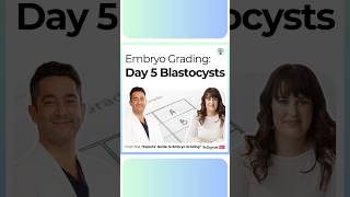 How Embryos are Graded Day 5 Blastocysts [upl. by Ednyl267]