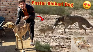 Shikari Faster Dog Le Liya Shikar Ky Leay [upl. by Seko]