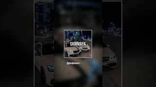 FREE MACAN x Jamik x Santiz Type Beat  quotSADOVAYAquot l Lyrical Rap Beat 2025  Piano Instrumental [upl. by Paolina]