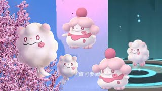 《Pokemon GO》綿綿泡芙如何進化胖甜妮！How Swirlix evolved Slurpuff！ [upl. by Gaudet]