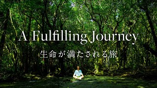 屋久島  Yakushima A Fulfilling Journey  生命が満たされる旅 Documentary 4K [upl. by Aihc291]