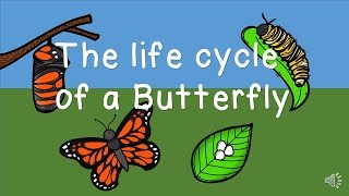 The Life Cycle of a Butterfly [upl. by Butte]