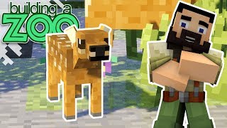 Im Building A Zoo In Minecraft  So Cute  EP25 [upl. by Orland]