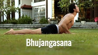 Bhujangasana The Snake Pose [upl. by Kellina853]