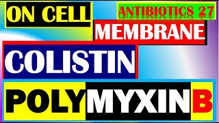 Colistin Polymyxin B Antibiotics Pharmacology Mechanisms Actions Resistance Part 27 [upl. by Ocirederf314]