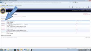 How to find a 10K report on the SEC website [upl. by Moclam]