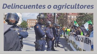 ¿Delincuentes o agricultores [upl. by Sayette]