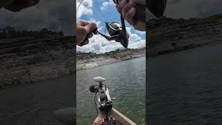 Hybrid Striped Bass Action at Medina Lake [upl. by Aerdnek124]