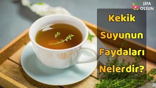 Kekik Suyunun Faydaları Nelerdir [upl. by Yttel563]